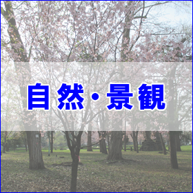 自然・景観